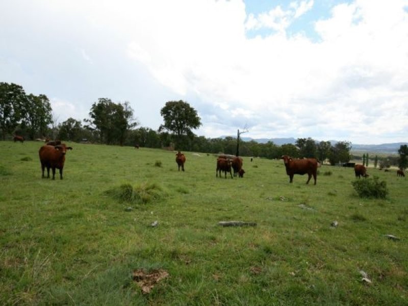Tenterfield NSW 2372