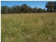 Tenterfield NSW 2372