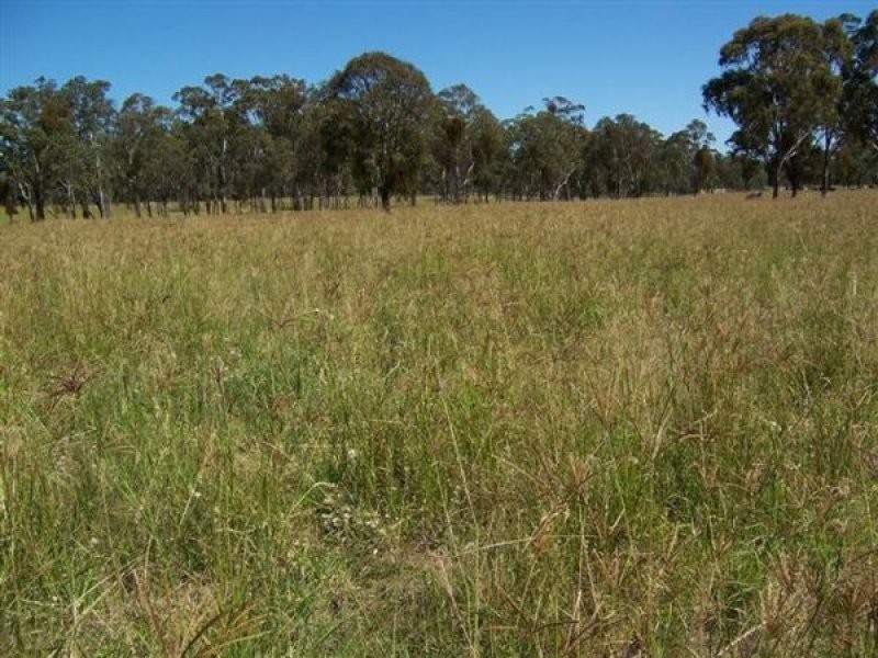 Tenterfield NSW 2372