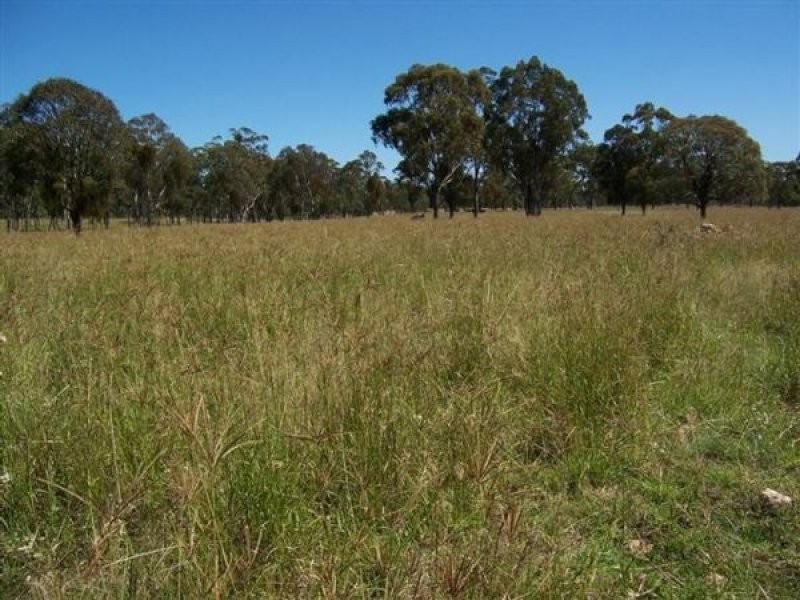 Tenterfield NSW 2372