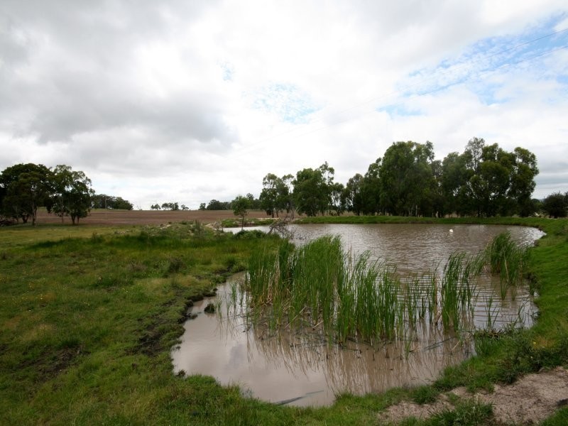 Tenterfield NSW 2372