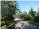 Tenterfield NSW 2372