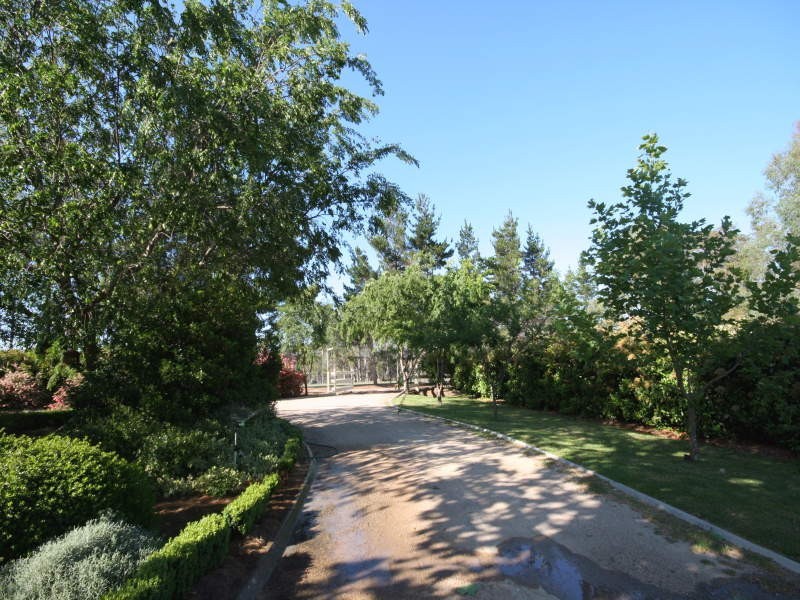Tenterfield NSW 2372