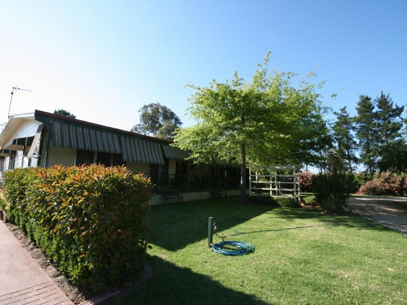 Tenterfield NSW 2372