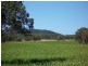 Tenterfield NSW 2372