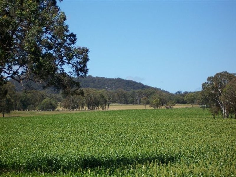 Tenterfield NSW 2372