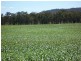 Tenterfield NSW 2372