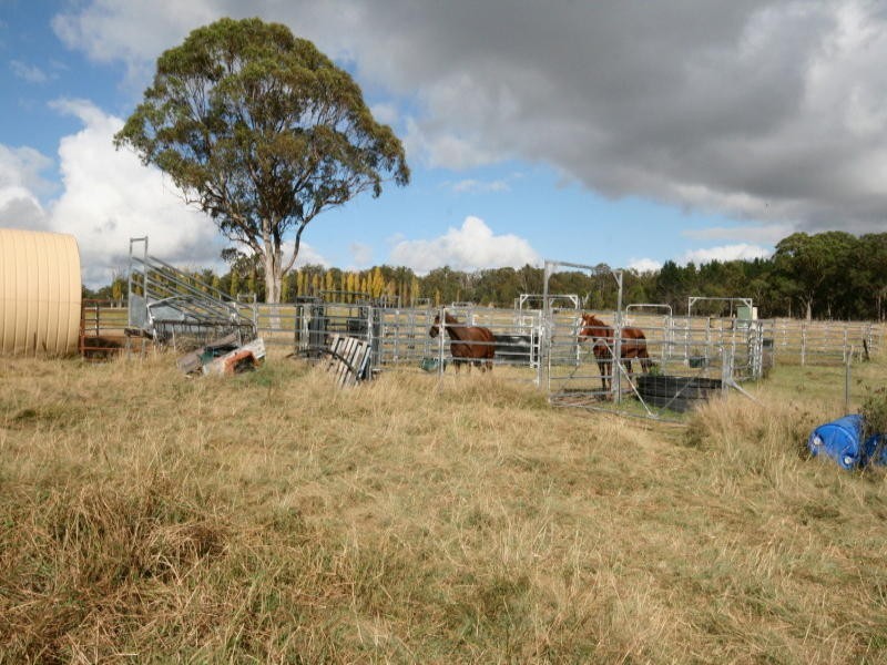 82 Robinsons Lane, Tenterfield NSW 2372