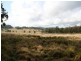 82 Robinsons Lane, Tenterfield NSW 2372