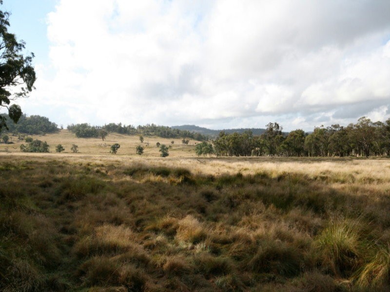 82 Robinsons Lane, Tenterfield NSW 2372