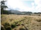 82 Robinsons Lane, Tenterfield NSW 2372