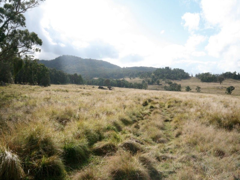 82 Robinsons Lane, Tenterfield NSW 2372