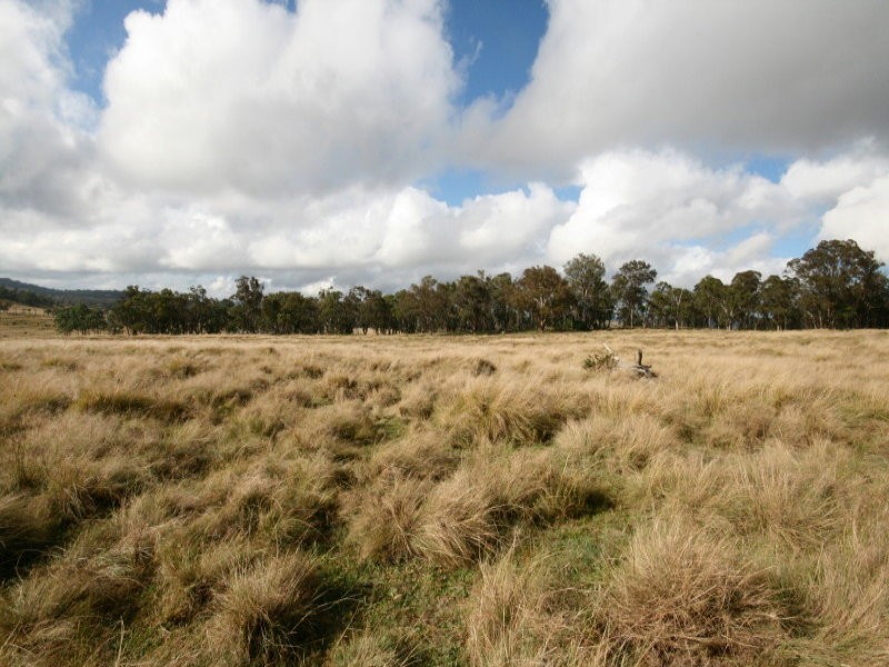 82 Robinsons Lane, Tenterfield NSW 2372
