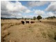 82 Robinsons Lane, Tenterfield NSW 2372