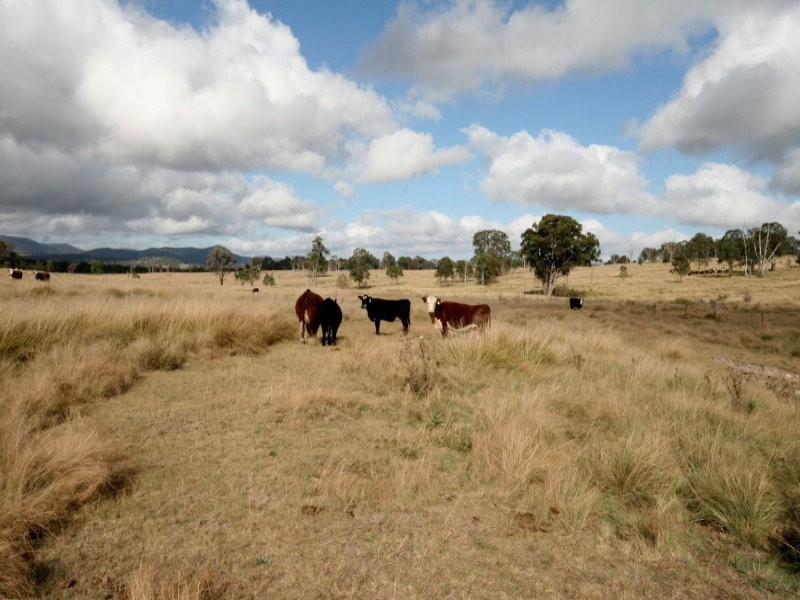 82 Robinsons Lane, Tenterfield NSW 2372