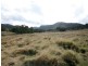 82 Robinsons Lane, Tenterfield NSW 2372