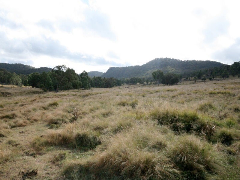 82 Robinsons Lane, Tenterfield NSW 2372