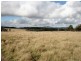 82 Robinsons Lane, Tenterfield NSW 2372