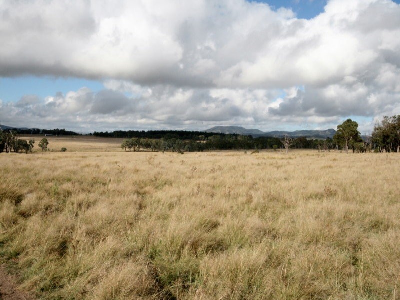 82 Robinsons Lane, Tenterfield NSW 2372