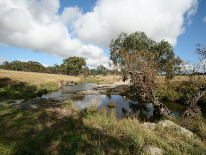82 Robinsons Lane, Tenterfield NSW 2372