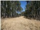 101 Wylie Creek Road, Liston NSW 2372