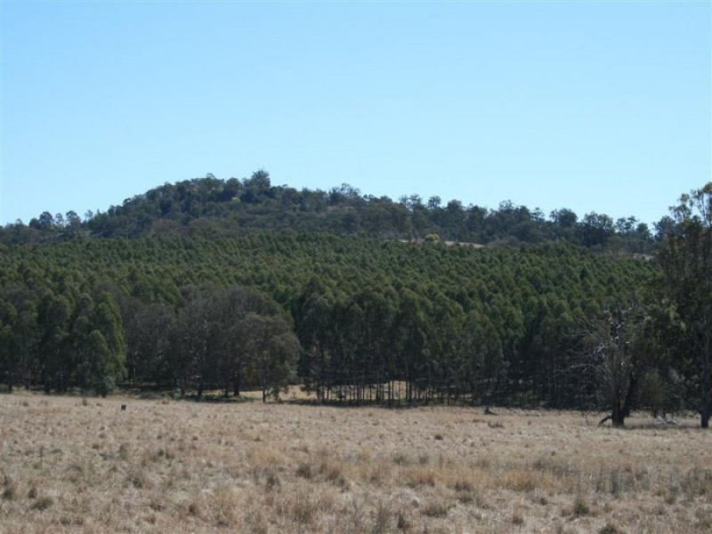 101 Wylie Creek Road, Liston NSW 2372