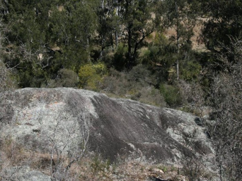 101 Wylie Creek Road, Liston NSW 2372