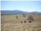 26/1213 Mole River Road, Tenterfield NSW 2372