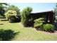 59 Riley Street, Tenterfield NSW 2372