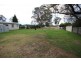 70 Wood Street, Tenterfield NSW 2372