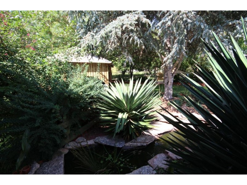 91 Logan Street, Tenterfield NSW 2372