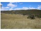 573 Bluff River Road, “Rastases”, Tenterfield NSW 2372