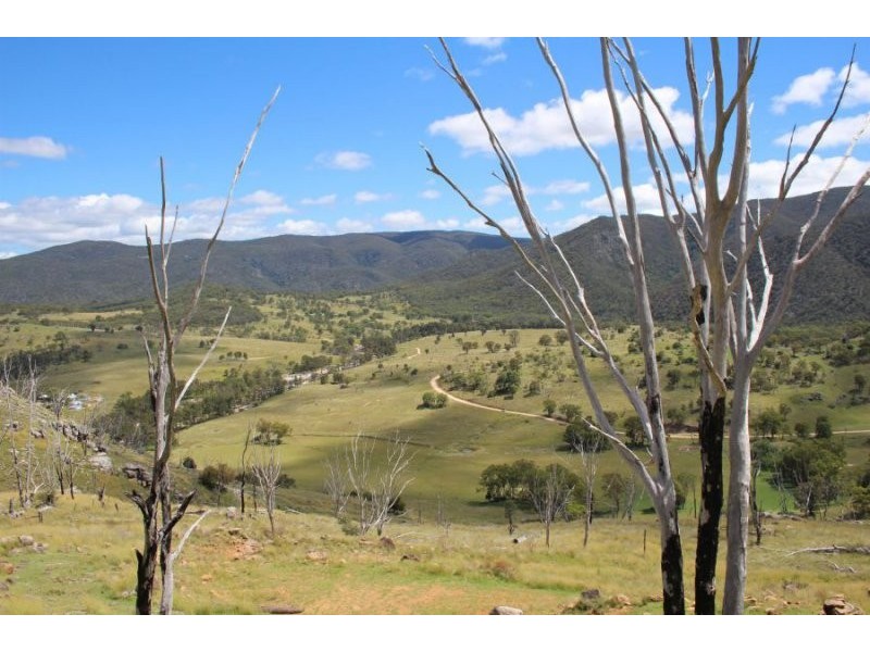 573 Bluff River Road, “Rastases”, Tenterfield NSW 2372