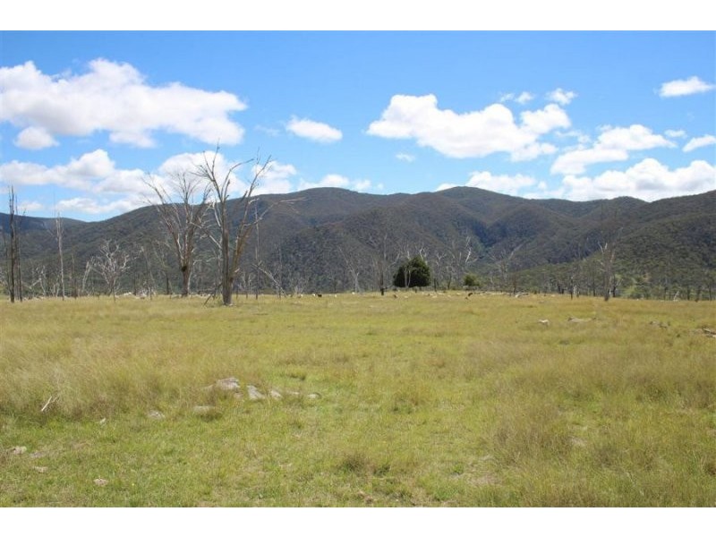 573 Bluff River Road, “Rastases”, Tenterfield NSW 2372