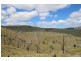 573 Bluff River Road, “Rastases”, Tenterfield NSW 2372