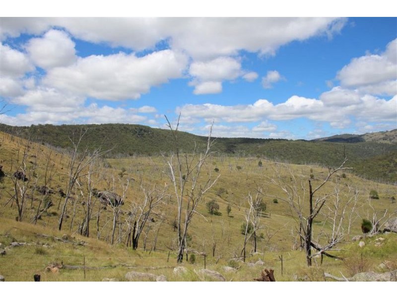 573 Bluff River Road, “Rastases”, Tenterfield NSW 2372