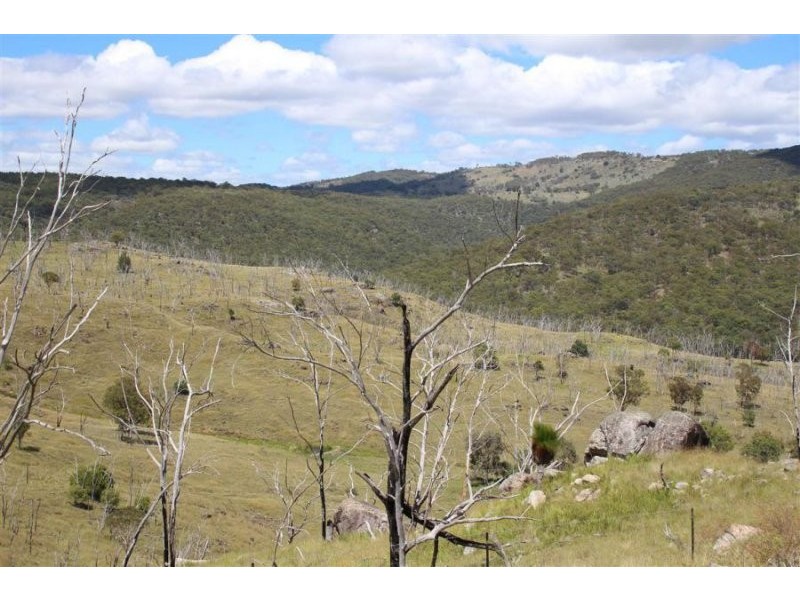 573 Bluff River Road, “Rastases”, Tenterfield NSW 2372