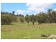 573 Bluff River Road, “Rastases”, Tenterfield NSW 2372