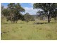 573 Bluff River Road, “Rastases”, Tenterfield NSW 2372