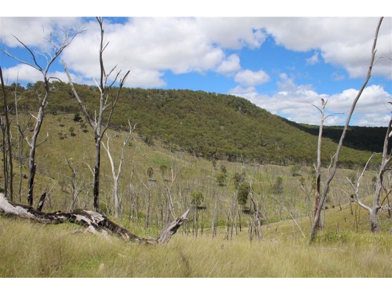 573 Bluff River Road, “Rastases”, Tenterfield NSW 2372
