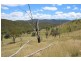 573 Bluff River Road, “Rastases”, Tenterfield NSW 2372