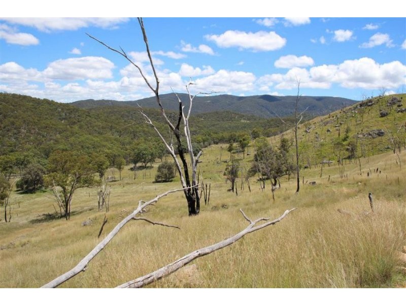 573 Bluff River Road, “Rastases”, Tenterfield NSW 2372