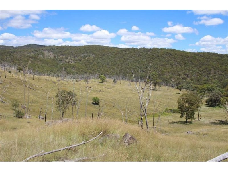 573 Bluff River Road, “Rastases”, Tenterfield NSW 2372