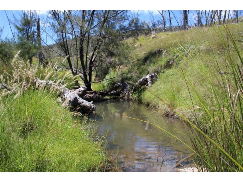 573 Bluff River Road, “Rastases”, Tenterfield NSW 2372