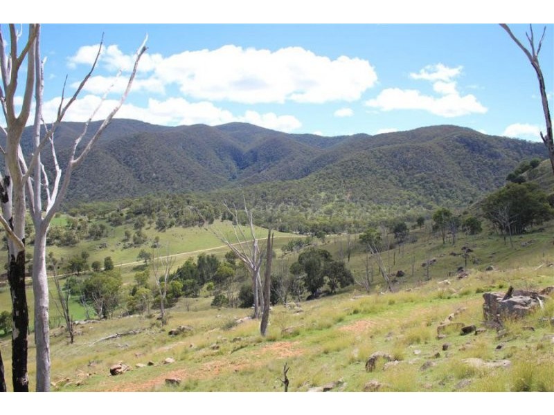 573 Bluff River Road, “Rastases”, Tenterfield NSW 2372