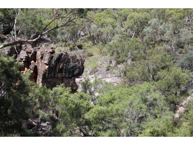 573 Bluff River Road, “The Junction”, Tenterfield NSW 2372