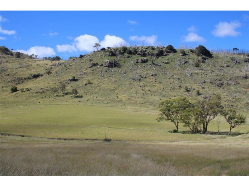 573 Bluff River Road, “The Junction”, Tenterfield NSW 2372