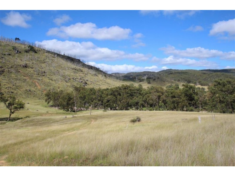 573 Bluff River Road, “The Junction”, Tenterfield NSW 2372