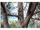 573 Bluff River Road, “Trout Hole”, Tenterfield NSW 2372