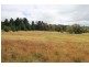 Mt Mackenzie Road, Tenterfield NSW 2372